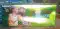 Ground Chakkar Dlx (10 Pcs)